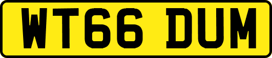 WT66DUM