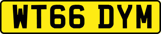 WT66DYM
