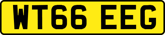 WT66EEG