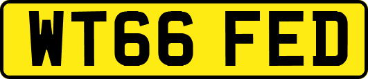 WT66FED