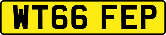WT66FEP