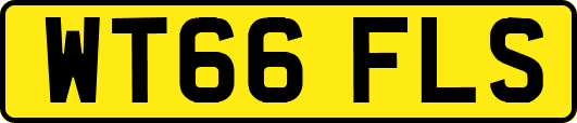 WT66FLS