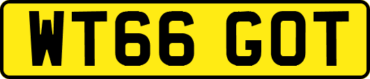 WT66GOT