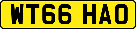 WT66HAO