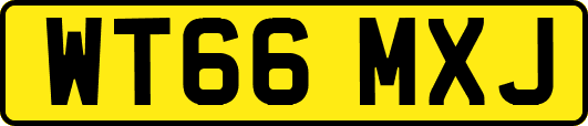 WT66MXJ