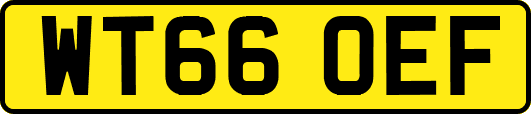 WT66OEF