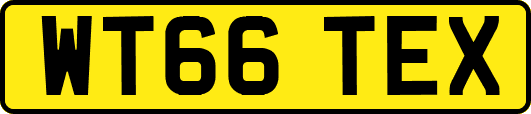 WT66TEX