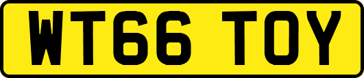 WT66TOY
