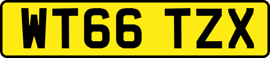 WT66TZX