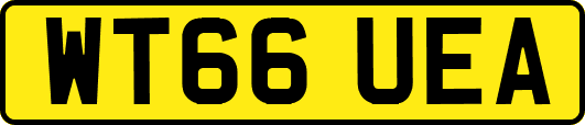 WT66UEA