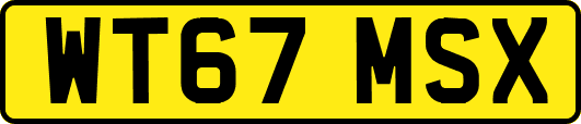WT67MSX