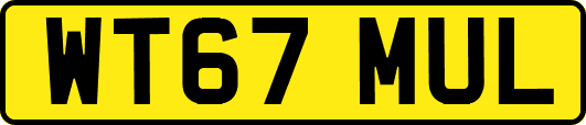 WT67MUL