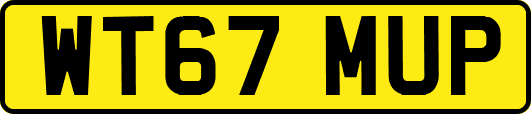 WT67MUP