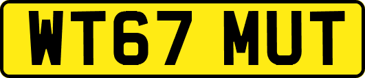 WT67MUT