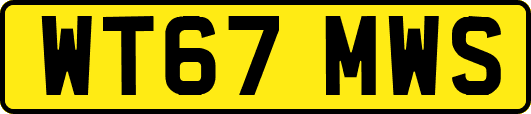 WT67MWS