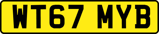 WT67MYB