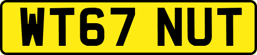 WT67NUT