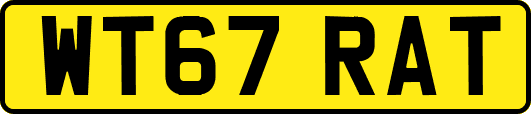 WT67RAT