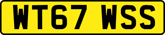 WT67WSS
