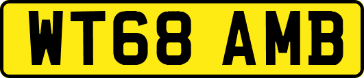 WT68AMB