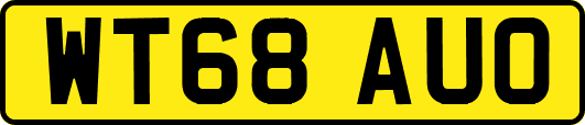WT68AUO