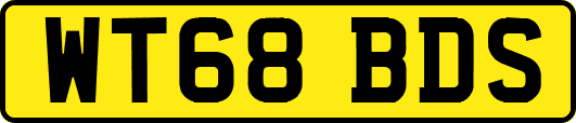 WT68BDS