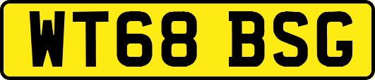 WT68BSG