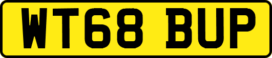 WT68BUP