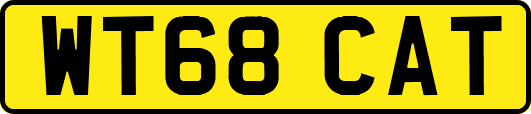 WT68CAT