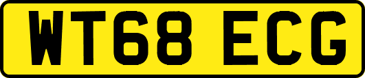 WT68ECG