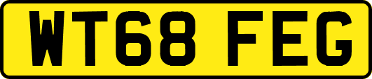 WT68FEG