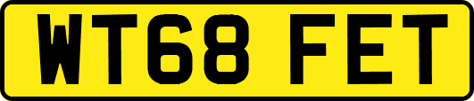 WT68FET