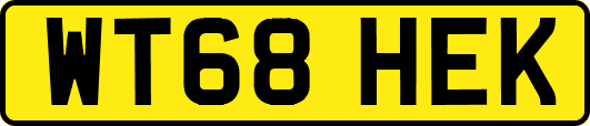 WT68HEK
