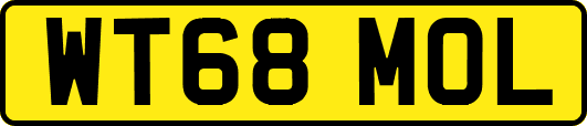WT68MOL