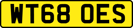 WT68OES