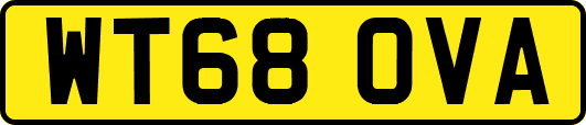 WT68OVA