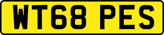WT68PES