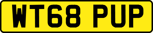 WT68PUP