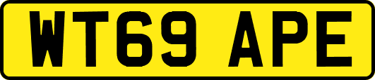 WT69APE