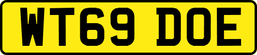 WT69DOE