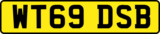 WT69DSB