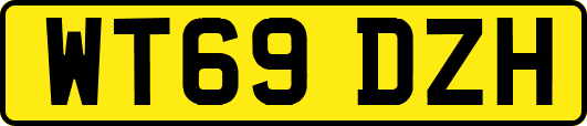 WT69DZH