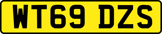 WT69DZS