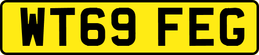 WT69FEG