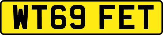 WT69FET