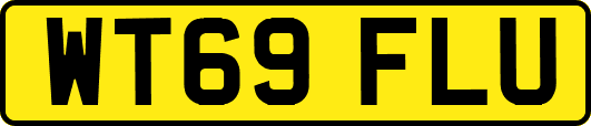 WT69FLU