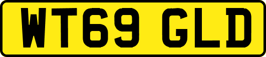 WT69GLD