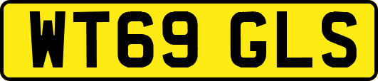 WT69GLS