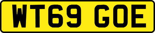 WT69GOE