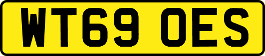 WT69OES